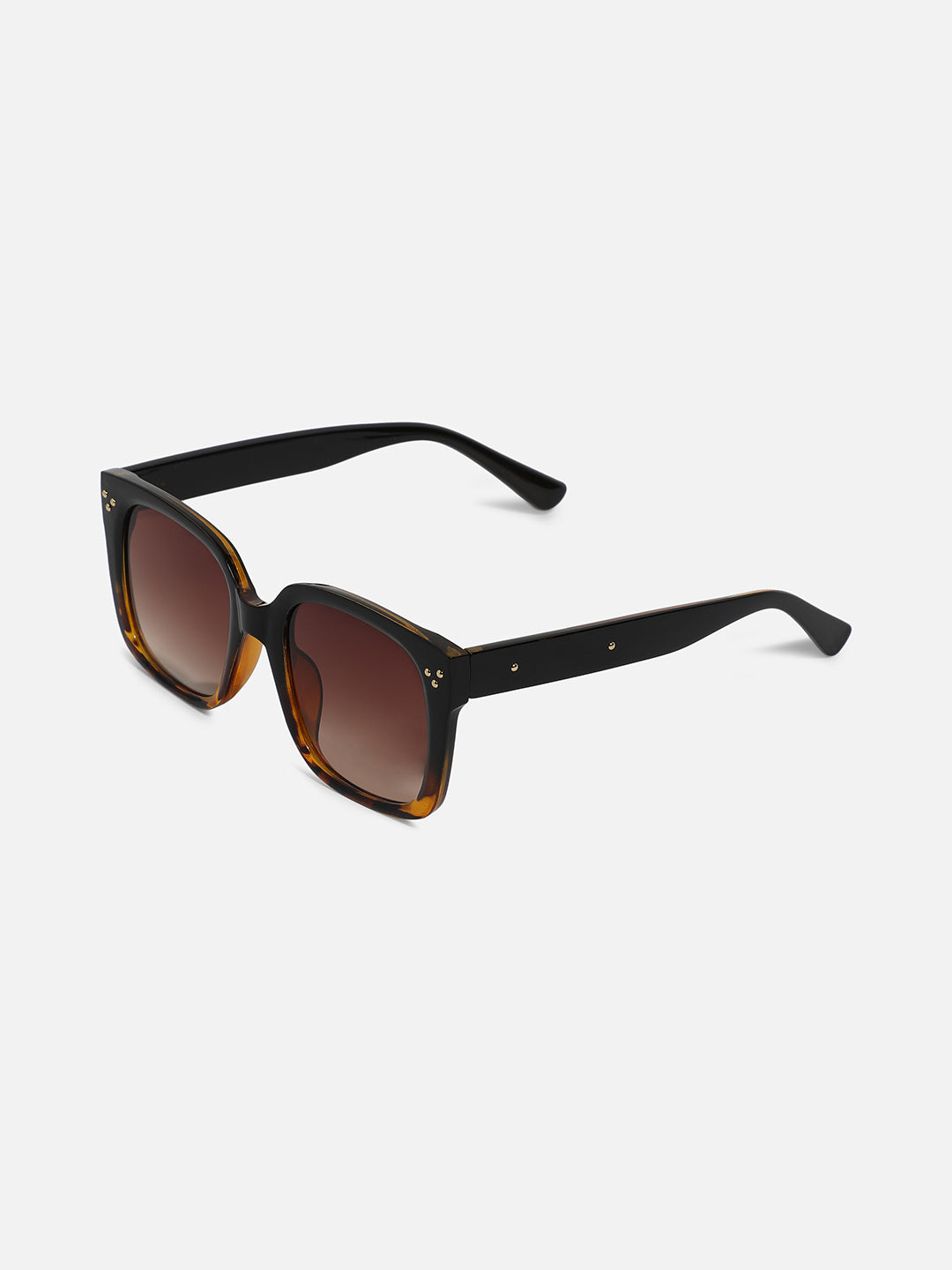 Full Rim Wayfarer Sunglass