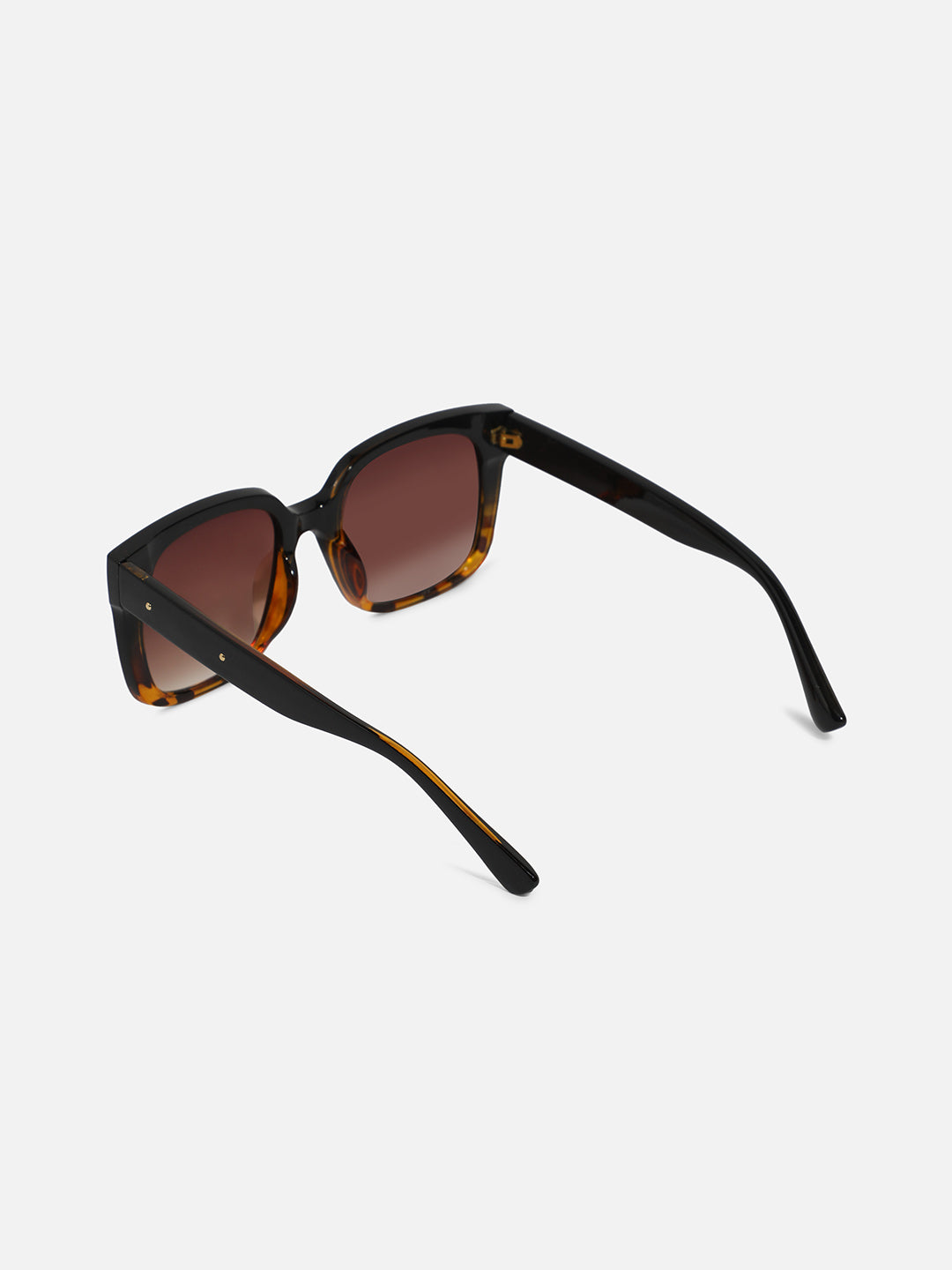 Full Rim Wayfarer Sunglass