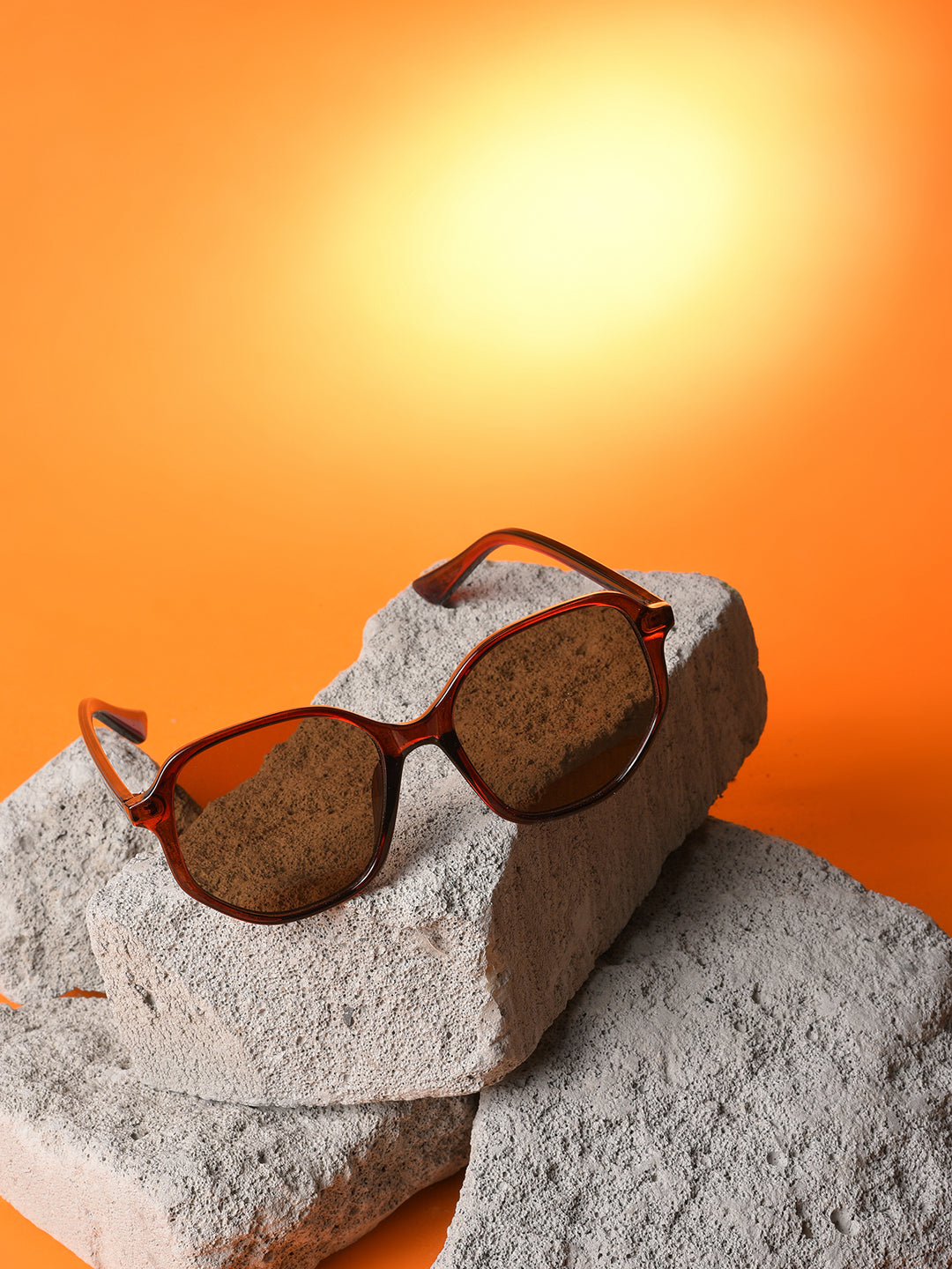 Brown Lens Brown Wayfarer Sunglasses