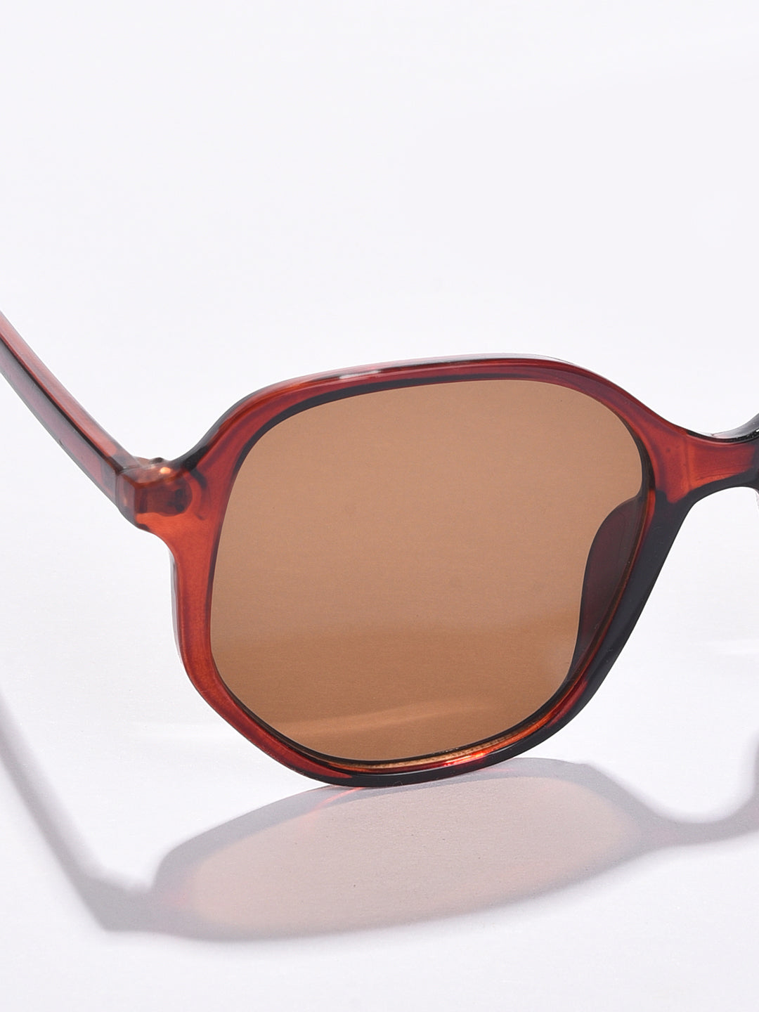 Brown Lens Brown Wayfarer Sunglasses