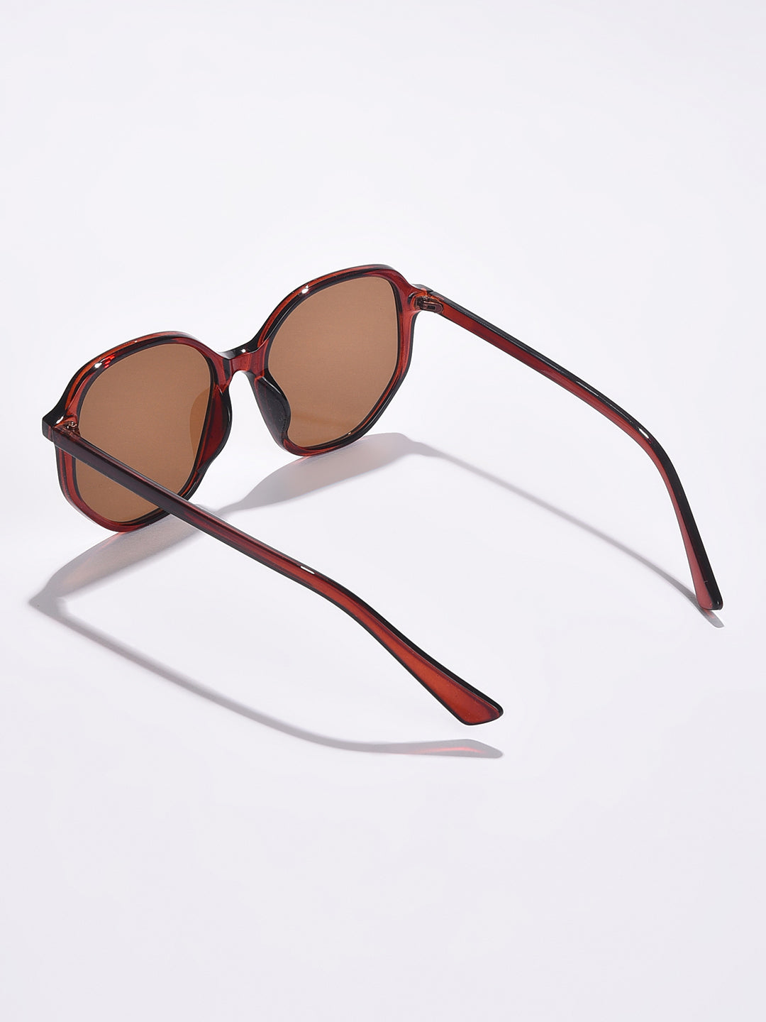 Brown Lens Brown Wayfarer Sunglasses